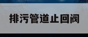 排污管道止回阀(排水止回阀多少钱)