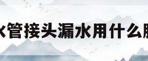 水管接头漏水用什么胶(水管接头漏水用什么胶带)
