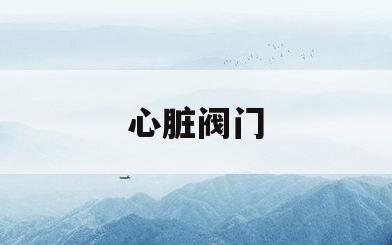 心脏阀门(心脏阀门坏了要手术吗)