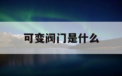 可变阀门是什么(可变阀门控制性能)