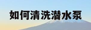 如何清洗潜水泵(如何清洗潜水泵视频)