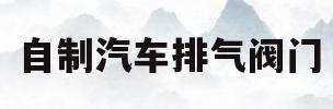 自制汽车排气阀门(自制汽车排气阀门教程)