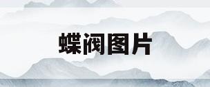 蝶阀图片(蝶阀图片大全图解)