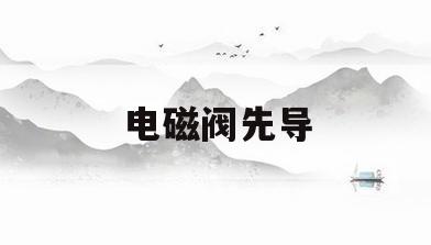 电磁阀先导(电磁阀先导头)