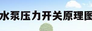 水泵压力开关原理图(水泵压力开关原理图解)