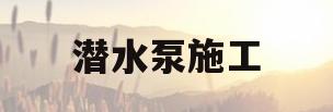 潜水泵施工(潜水泵施工工艺)
