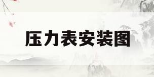 压力表安装图(压力表安装图集01ss105)