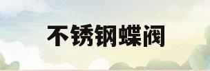 不锈钢蝶阀(不锈钢蝶阀型号规格)
