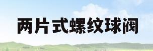 两片式螺纹球阀(两片式螺纹球阀制造公司)