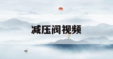 减压阀视频(减压阀视频工作原理)