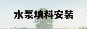 水泵填料安装(水泵填料安装方法视频)