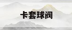卡套球阀(卡套球阀的规格型号)
