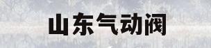 山东气动阀(山东气动阀门)