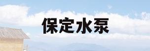 保定水泵(保定水泵厂有几家)