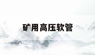 矿用高压软管(矿用高压软管系列)