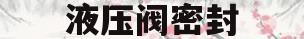 液压阀密封(液压阀密封圈)