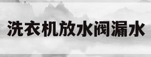 洗衣机放水阀漏水(洗衣机注水阀门漏水)