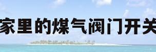 家里的煤气阀门开关(家里煤气阀门开关怎么拧)