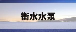 衡水水泵(衡水水泵市场在哪里)