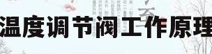温度调节阀工作原理(温度调节阀安装在哪里)