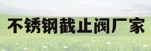 不锈钢截止阀厂家(生产不锈钢止回阀的知名厂家)
