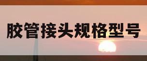 胶管接头规格型号(胶管接头尺寸)