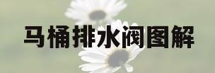 马桶排水阀图解(马桶排水阀图解说明)