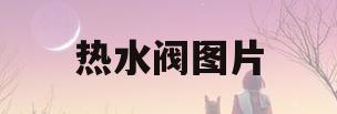 热水阀图片(热水阀坏了怎么修)