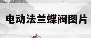 电动法兰蝶阀图片(d941x16电动法兰蝶阀)