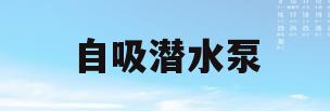 自吸潜水泵(自吸潜水泵不出水的原因)