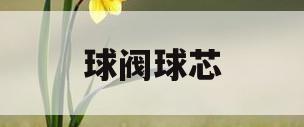 球阀球芯(球阀球芯注塑工艺)
