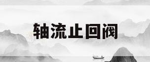 轴流止回阀(轴流止回阀的选择原因)