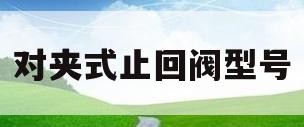 对夹式止回阀型号(对夹式止回阀型号Hp1w)
