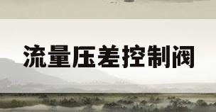 流量压差控制阀(压差式流量控制器)