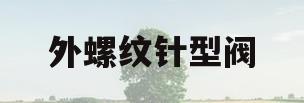 外螺纹针型阀(j23w外螺纹针型阀)