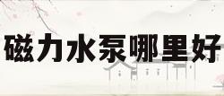 磁力水泵哪里好(磁力水泵作用特点)