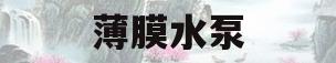 薄膜水泵(薄膜水泵维修)
