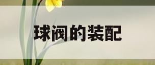 球阀的装配(球阀的装配图方案选择)