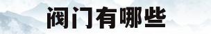 阀门有哪些(高真空阀门有哪些)