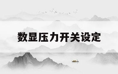 数显压力开关设定(数显压力开关输出什么信号)