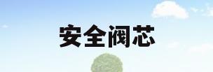 安全阀芯(安全阀芯角度怎么测量)