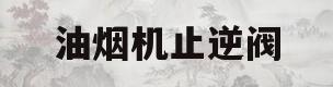 油烟机止逆阀(油烟机止逆阀怎么安装)