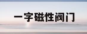 一字磁性阀门(一字磁性阀门工作原理图)