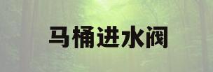 马桶进水阀(马桶进水阀软管干什么用的)
