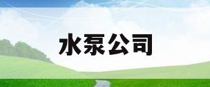 水泵公司(上海水泵公司)