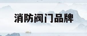 消防阀门品牌(消防阀门品牌排行榜)