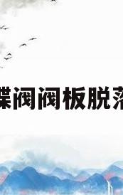 蝶阀阀板脱落(蝶阀阀杆断裂怎么处理)