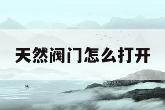天然阀门怎么打开(天然阀门向上拔起又弹回去对吗)