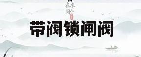 带阀锁闸阀(带锁阀门怎么打开)