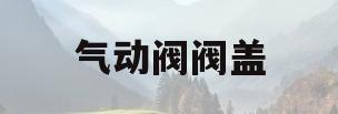 气动阀阀盖(气动阀门坏了怎么修)